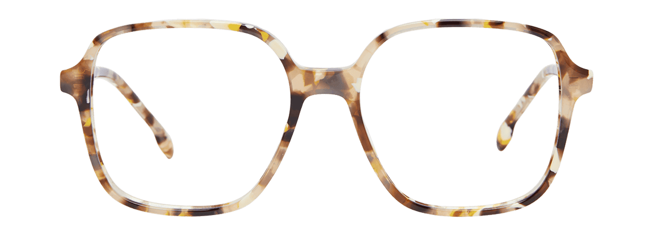 Opticiens Lunetier Belge Hugo (Ecorce) CLEMENT LUNETIER – Le