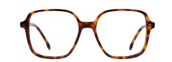 BERENICE - lunettespourtous