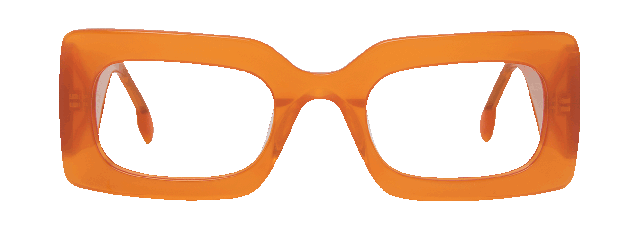 Lunettes PAULA Homme Femme – Lunettes Pour Tous