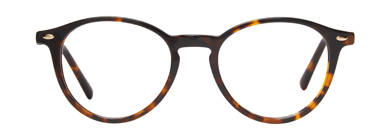 EVAN ECAILLE TRES FONCEE - lunettespourtous