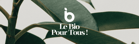 Lunettes Pour Tous présente sa collection Bio Pour Tous : des montures 100% biologiques à 50€ seulement - lunettespourtous