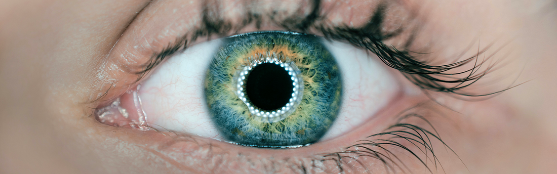 L’eye tracking : qu’est-ce que c’est ?