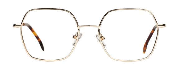 GINA - lunettespourtous